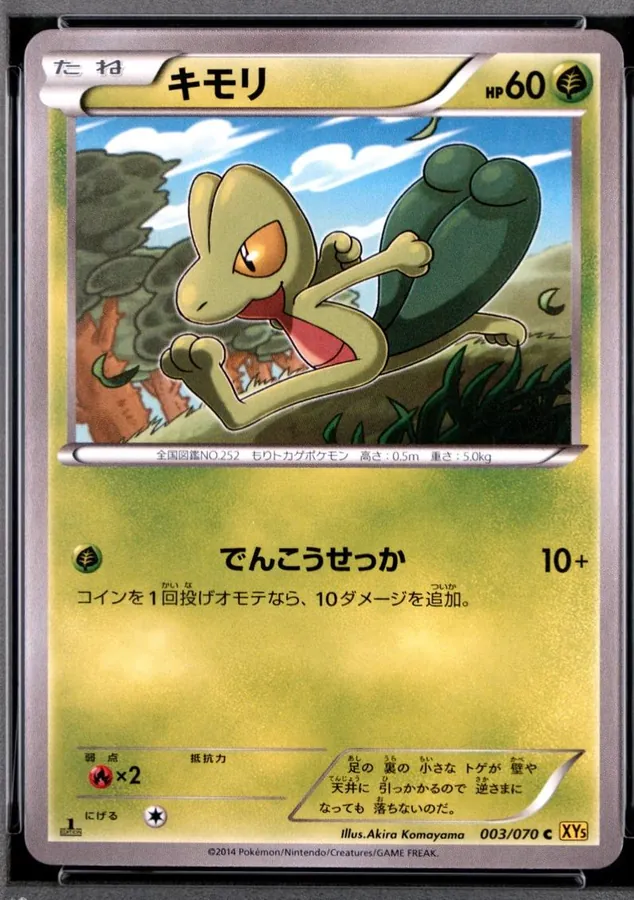 Japanese Gaia Volcano [1st-Edition] Treecko [1st-Edition] Pokémon card